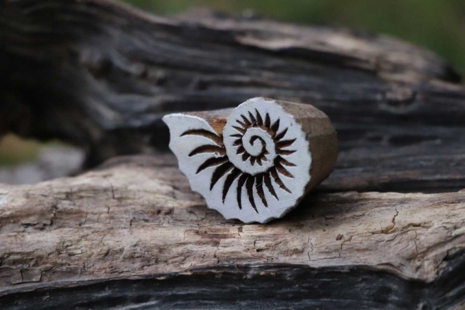 Holz Stempel AMONIT – Bild 4
