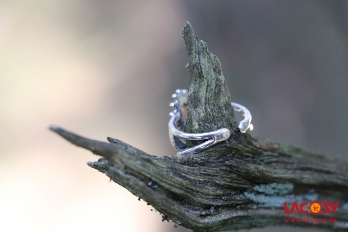 SHIVA MOON Silberring mit Labradorit – Bild 4