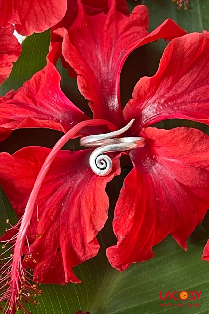 Kleiner Spiralen Silberring – Bild 2