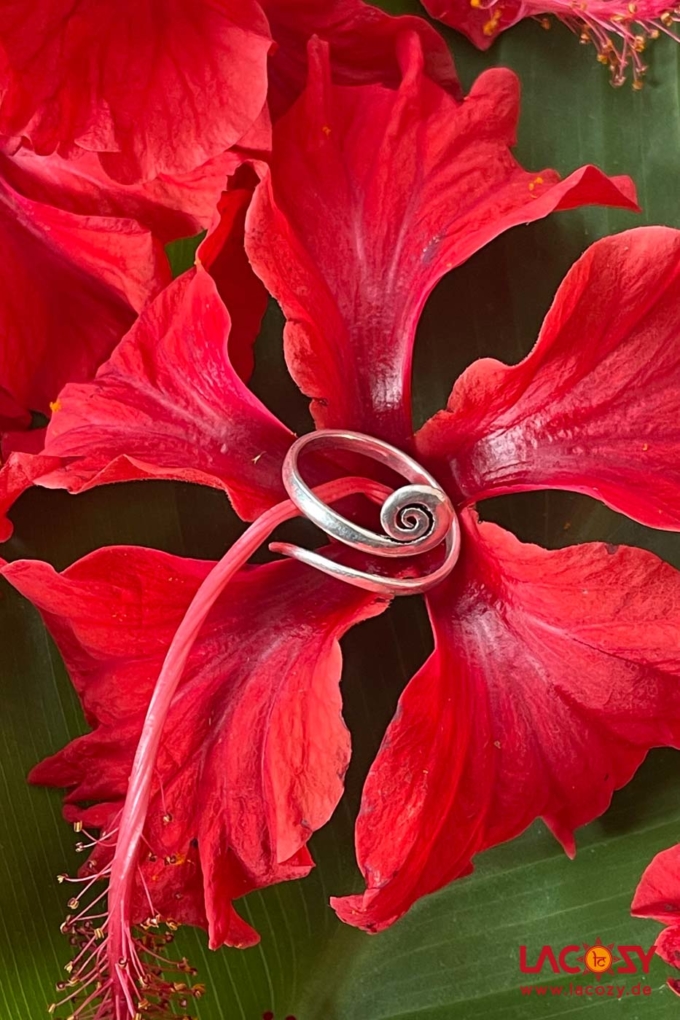 Kleiner Spiralen Silberring – Bild 3